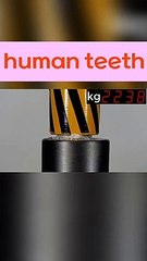 Shark Tooth vs Human Tooth vs Hydraulic Press #shorts #viral #shortsvideo #video #innovationhub