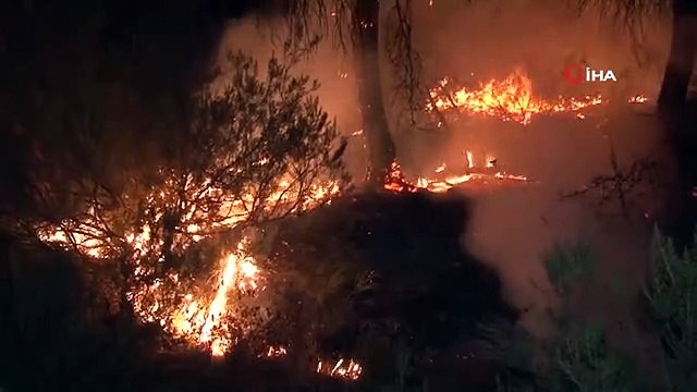 Çekmeköy'de ormanlık alanda çıkan yangın kontrol altına alındı