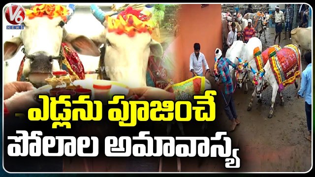 Farmers Prayers To Bull Due To Polala Amavasya At Nirmal | V6 News