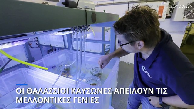 Μεγάλη Βρετανία: Αυξάνεται η θερμοκρασία της θάλασσας - «Συναγερμός» από τους επιστήμονες