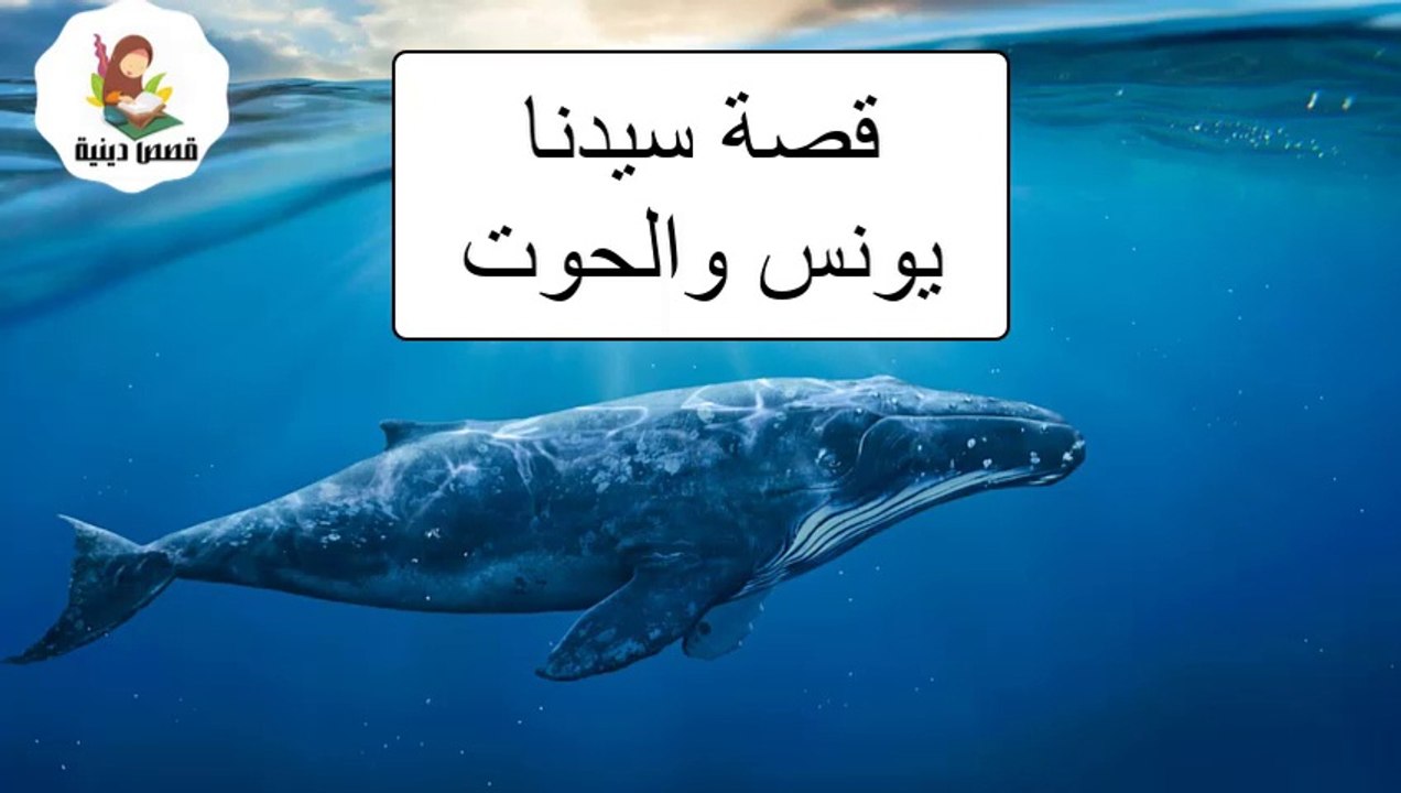 مشاهدة مسلسل يونس والحوت -  الحلقة الثالثة -  قصص الأنبياء