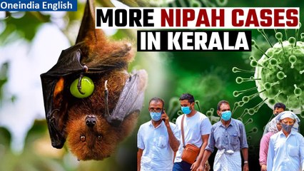 Download Video: Fifth Nipah Virus Case Confirmed in Kerala; Antibody Arrives to Combat Outbreak| Oneindia News