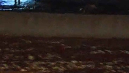 Inundaciones en la carretera de Algente (Madrid)