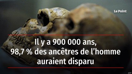 Il y a 900 000 ans, 98,7 % des ancêtres de l’homme auraient disparu