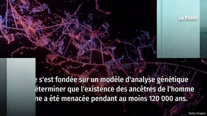Il y a 900 000 ans, 98,7 % des ancêtres de l’homme auraient disparu
