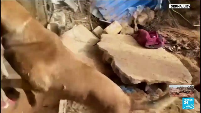 Libya's flood-ravaged Derna in grisly hunt for thousands still missing