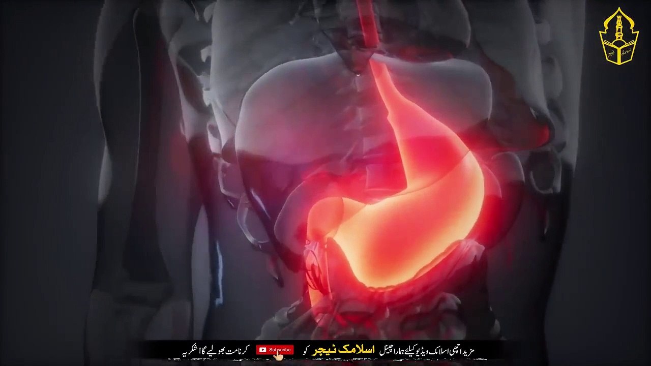 To cure all kinds of physical ailments - Read this on water before 10 Zil Haaj - IT