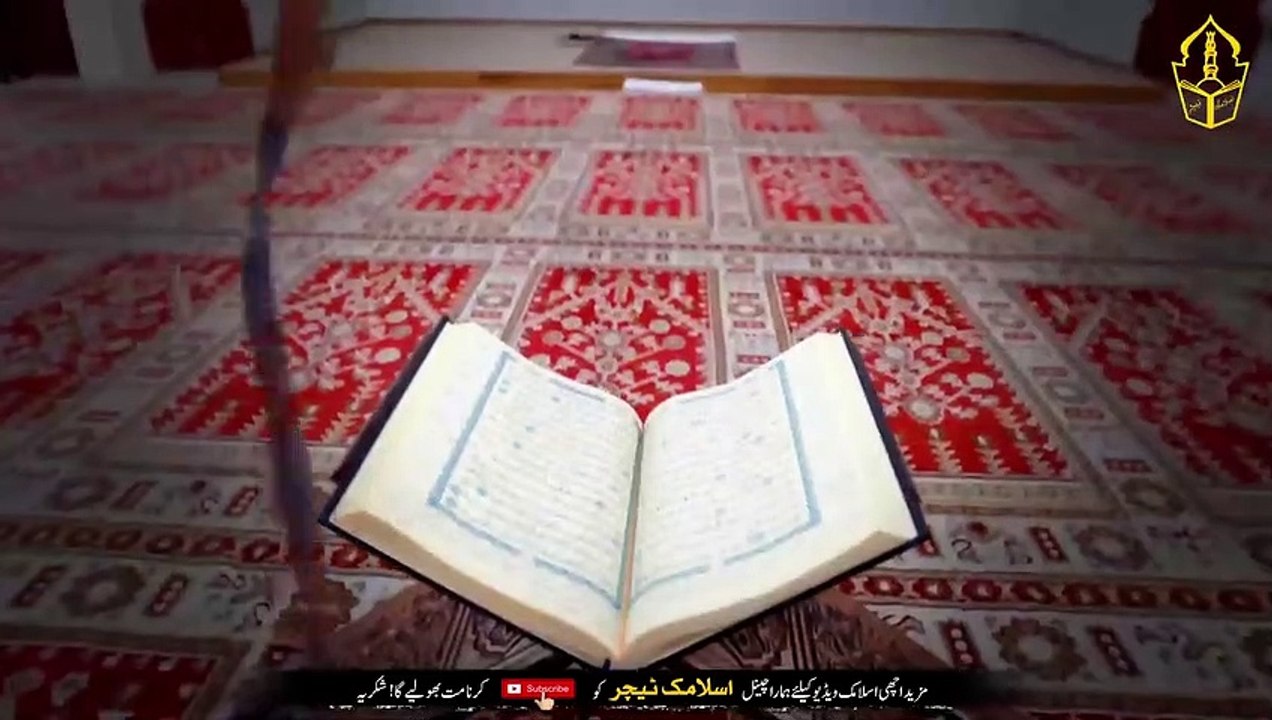 Understand If Ants Do Not Stop Coming Out Of The House - A Story Full Of Islamic Anecdotes - IT