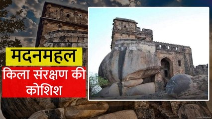 Jabalpur News: जड़ें छोड़ने लगा जबलपुर का मदन महल किला, सदियों पुरानी इस संपदा को लेकर ASI चिंतित
