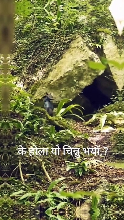 Alien Video !! Alien Video Docomentry!!Alien In Nepal