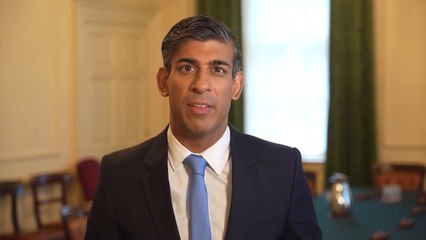 Rishi Sunak pledges to ban American XL bully dogs