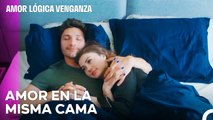 Que Estas Manos Nunca Se Separen - Amor Lógica Venganza