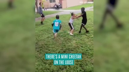 Tyreek Hill surprises boy from viral video with signed jersey