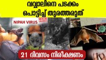 വവ്വാലിനെ പടക്കം പൊട്ടിച്ച് തുരത്തിയാല്‍ രോഗം വ്യാപിക്കും; ഈ മുന്‍കരുതല്‍ ശ്രദ്ധിക്കാം