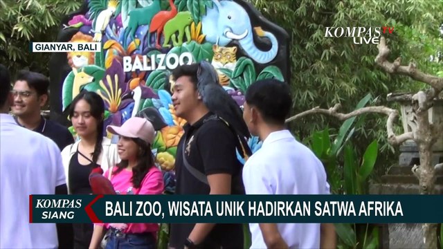 Tak Perlu ke Afrika, Bali Zoo di Gianyar Hadirkan Berbagai Satwa Savana