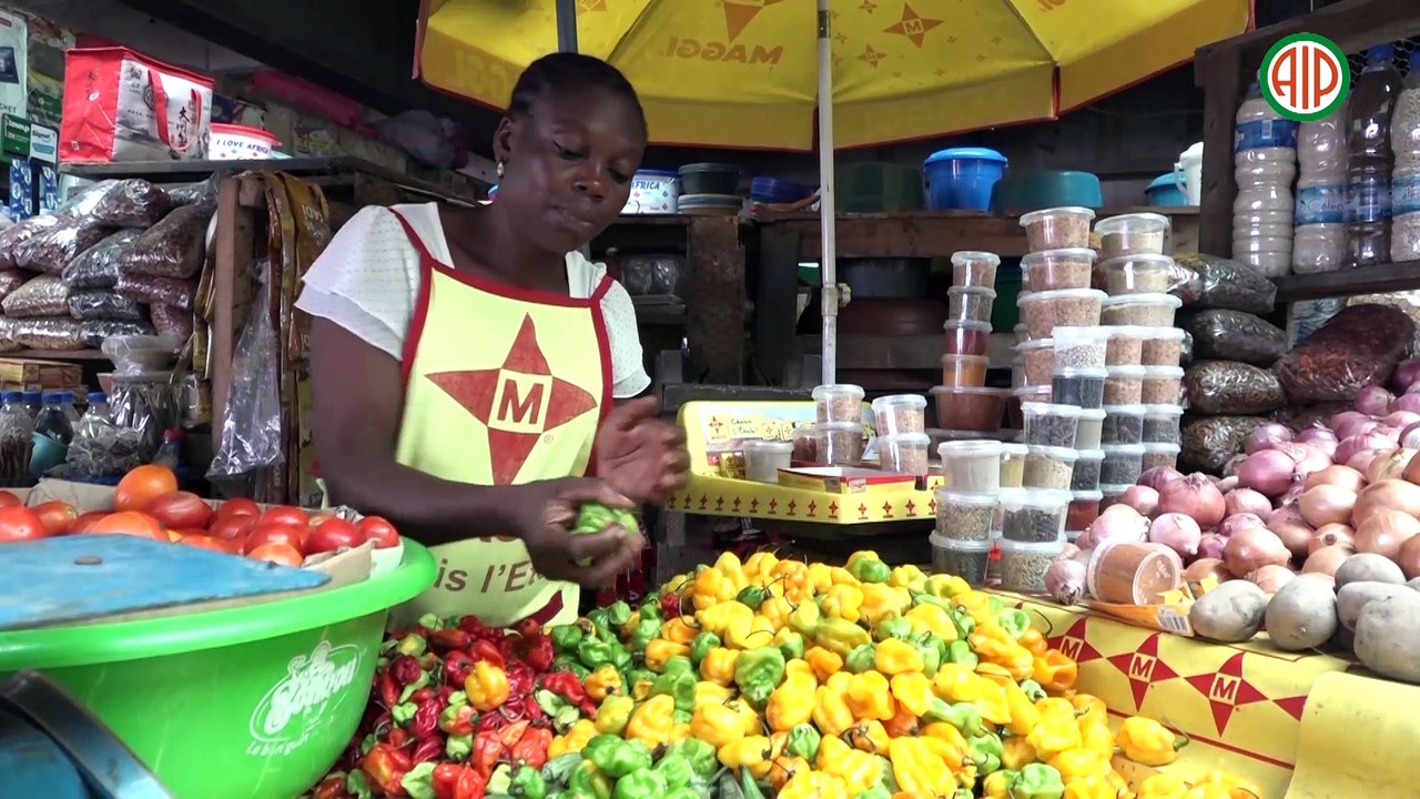 Région- Aboisso : L’agriculture hors-sol à partir de matériels de récupération à Grand-Bassam