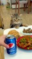 انا جائع اريد بعض الطعام - I'm hungry I want some food