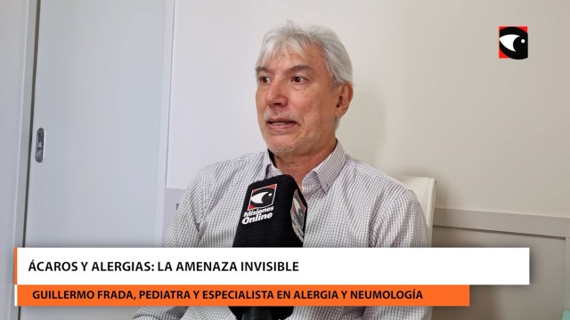 Ácaros y alergias: la amenaza invisible