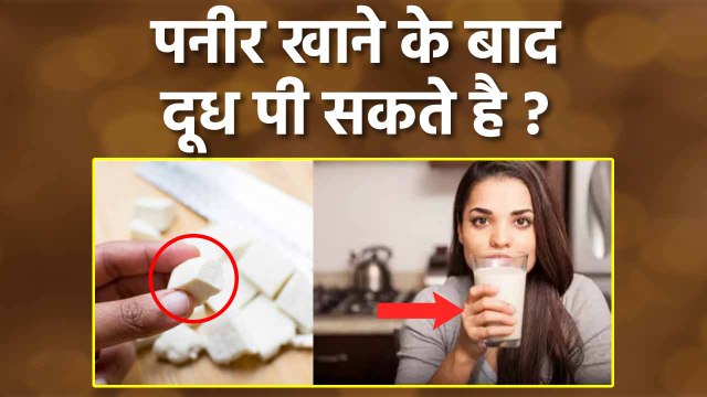 Paneer Khane Ke Bad Dudh Pi Sakte Hain | पनीर खाने के बाद दूध पी सकते है या नहीं