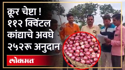 कांदा उत्पादक शेतकऱ्याला ३९ हजार रुपये अनुदान येणे अपेक्षित असताना मिळाले अवघे २५२ रू