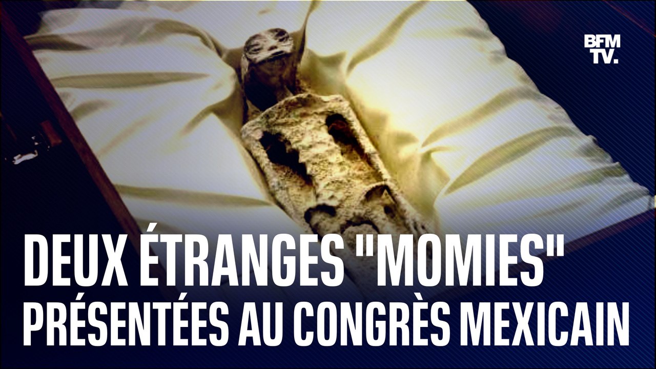  Deux étranges "momies d'extraterrestres" présentées au Congrès mexicain