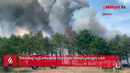 Tekirdağ'da orman yangını! Ekipler sevk edildi