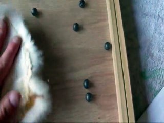 Electrostatic Box | Weird Science Experiment