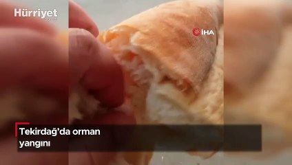 Ekmekten yine ip çıktı: İnsan canı bu kadar ucuz