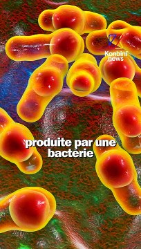 Y a quelques jours, une femme est morte après avoir mangé des sardines mal conservées dans un restaurant à Bordeaux.
