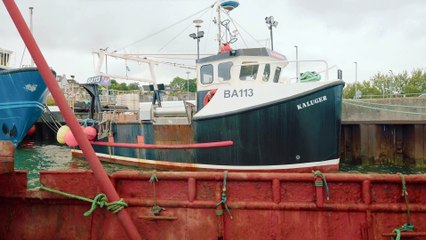 The UK's only oyster loch in Scotland | Scran on the Road