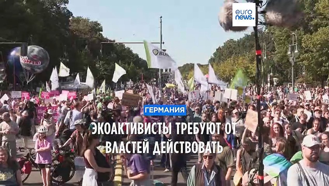 "Пятницы ради будущего": экоактивисты снова выходят на акции протеста