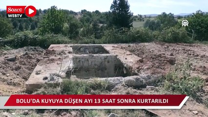 Kuyuya düşen ayı 13 saat sonra kurtarıldı