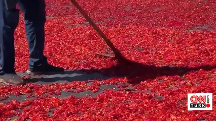 Çiftçiye tarımsal destek açıklandı