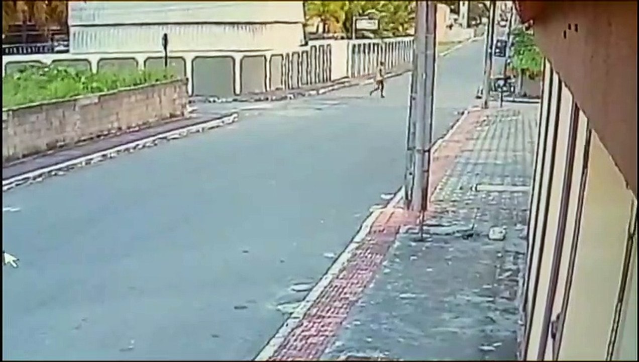 Vídeo registra PM se aproximando do cão para mat4-lo: "Não pensou 2 vezes"