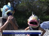 Reportage - Une baignade-party contre les puces électroniques - Reportages - TéléGrenoble