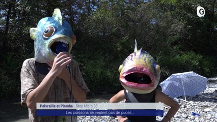 Reportage - Une baignade-party contre les puces électroniques - Reportages - TéléGrenoble