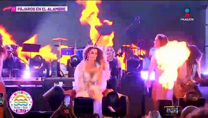 Ninel Conde CELEBRA 2 años de soltería