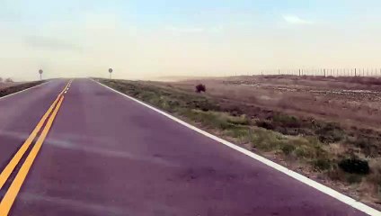 Fuertes vientos: piden circular con precaución en rutas