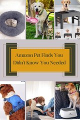 Amazon Pet Finds You Didn't Know You Needed