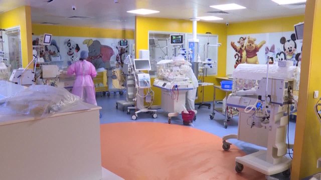 Procreazione assistita con il ticket dal 2024