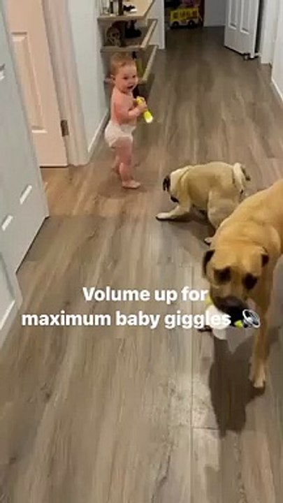 Funny funny 