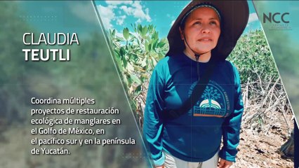 Reporte Climático 111 | Las Chelemeras: un éxito de restauración ecológica