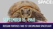 OTD In Space - September 15: Russian Tortoises Take 1st Circumlunar Spaceflight