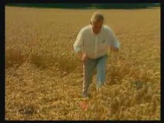 Crop circles