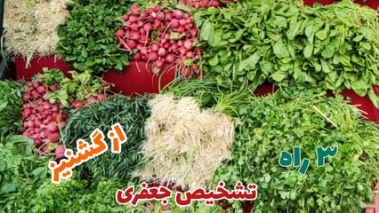 تشخیص جعفری از گشنیز تصویری