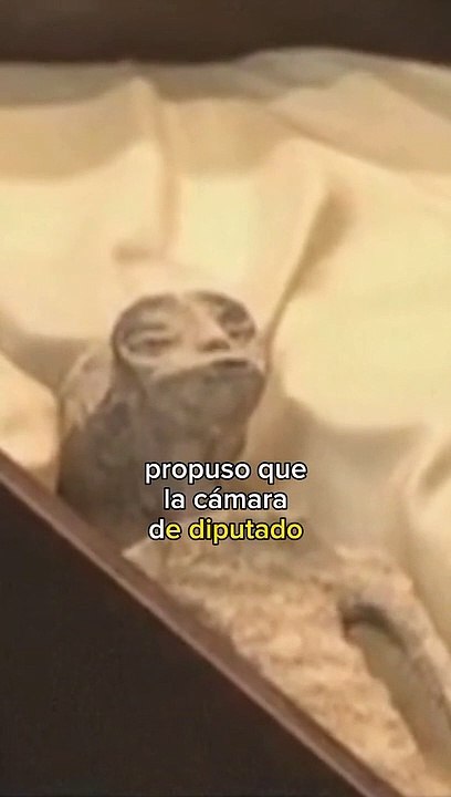 Científicos presentan extraterrestre al congreso de México