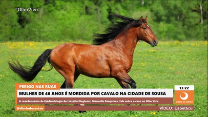 Mulher dar entrada no Hospital Regional de Sousa após ser mordida por cavalo no meio da rua