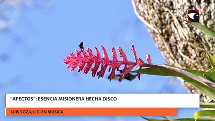 “Afectos”: Esencia Misionera hecha disco