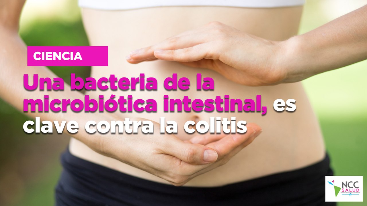 Una bacteria de la microbiota intestinal, es cl...