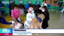 Los perritos de terapia animan a los niños del Hospital Infantil del Niño DIF